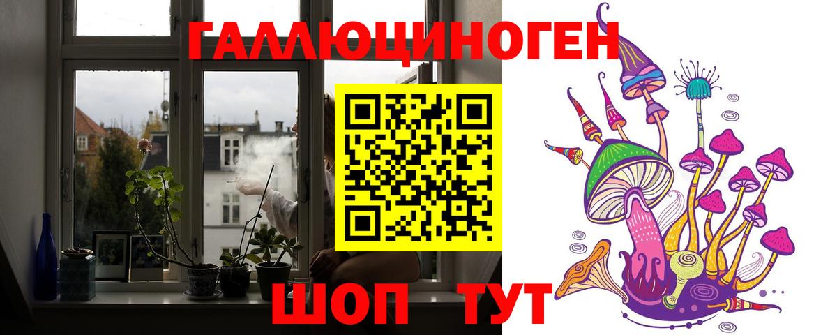 Щёлково  Псилоцибиновые грибы мицелий  Вход с VPN 